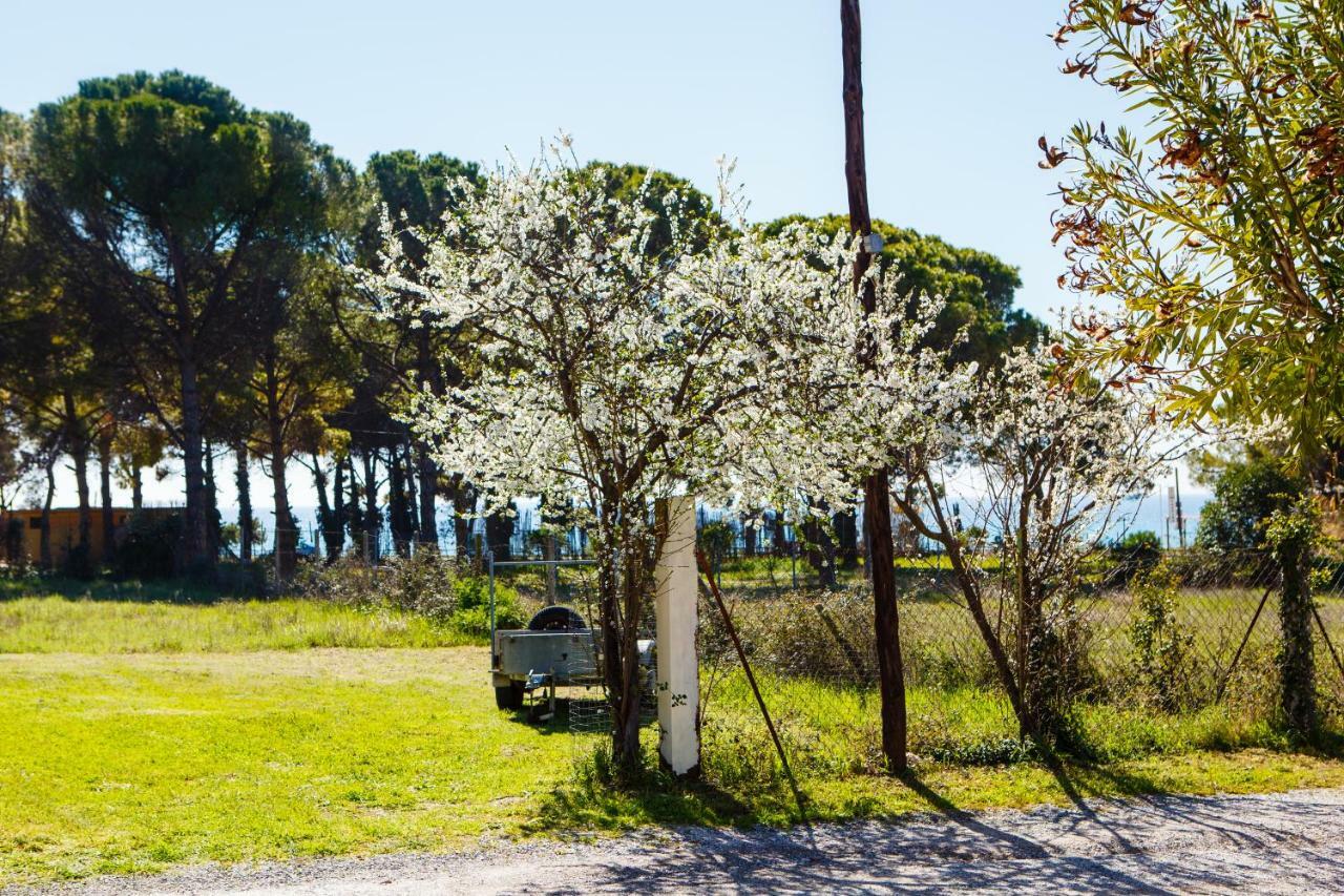Kali House Tatil Evi *